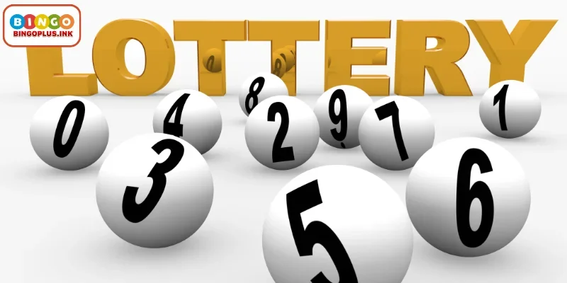 A Quick Overview of the Bingoplus Lottery Experience