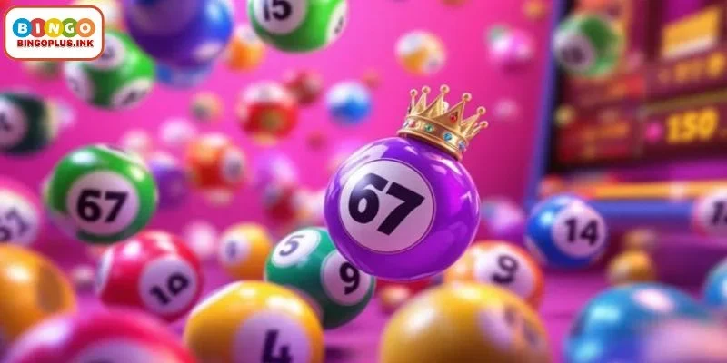 Effective Strategies to Succeed in Money Bingo