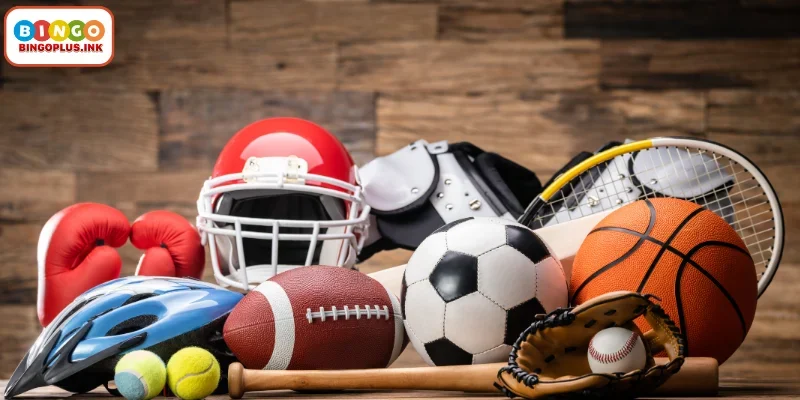 Everything About BingoPlus Sports