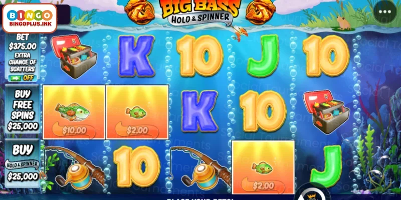 Expert Tips to Win Big at BingoPlus Slots for Every Player