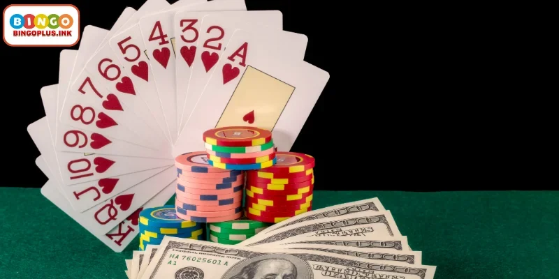 Introduction to BingoPlus Tongits