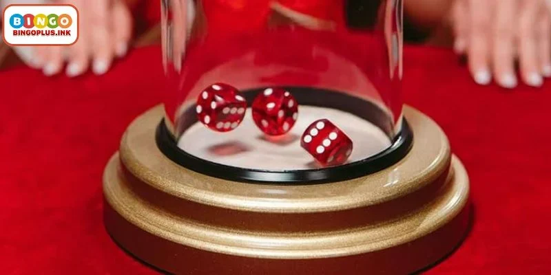 Understanding How Sicbo Casino Mechanics Work