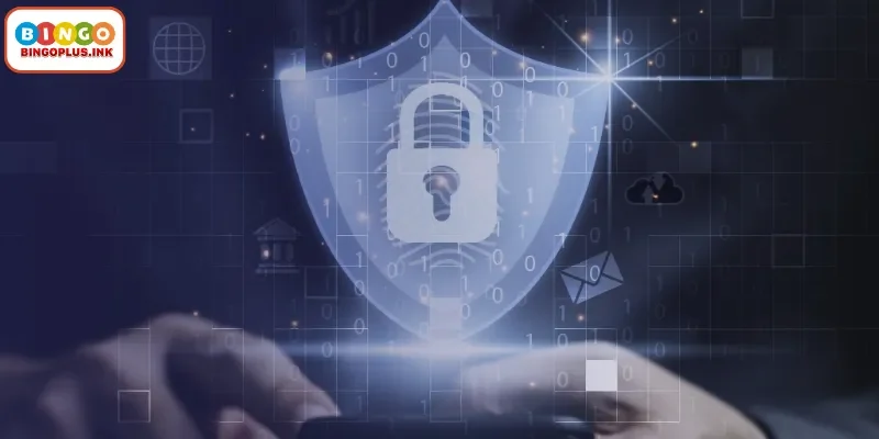 User Rights and Data Ownership for BingoPlus Players